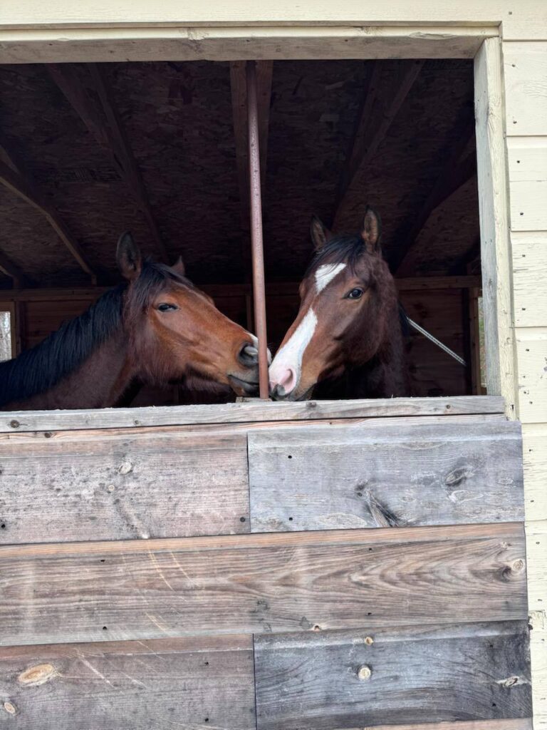 sc tito and voiceover in the barn
